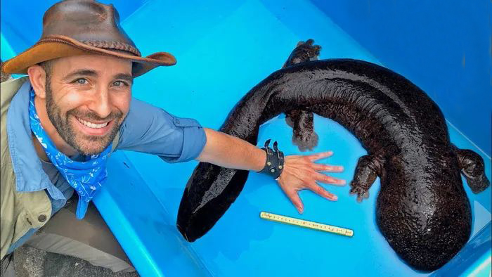 image-20230613175049-1