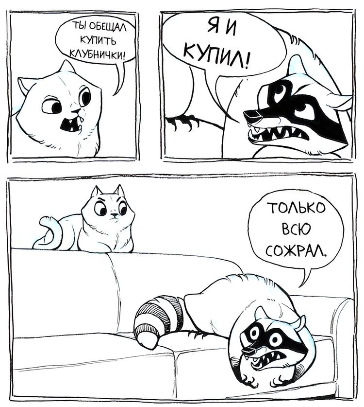 image-20230614144155-10