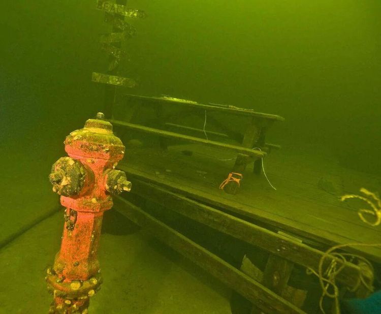 image-20230614205757-1