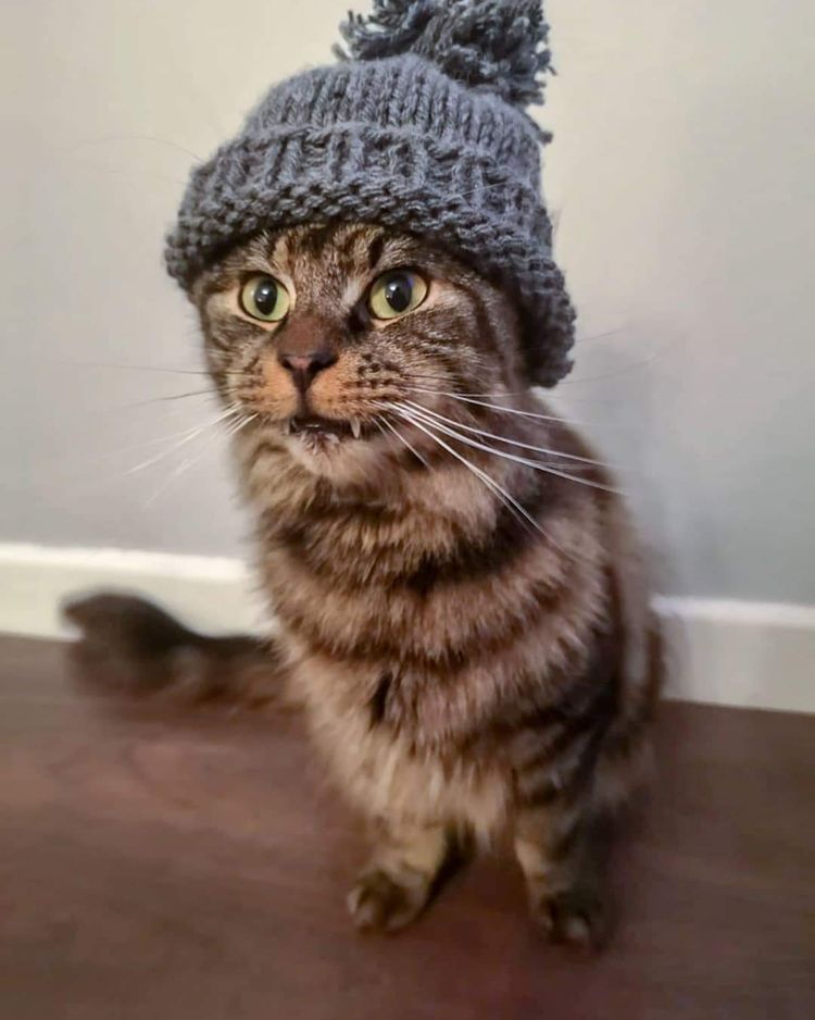 image-20230614221623-14