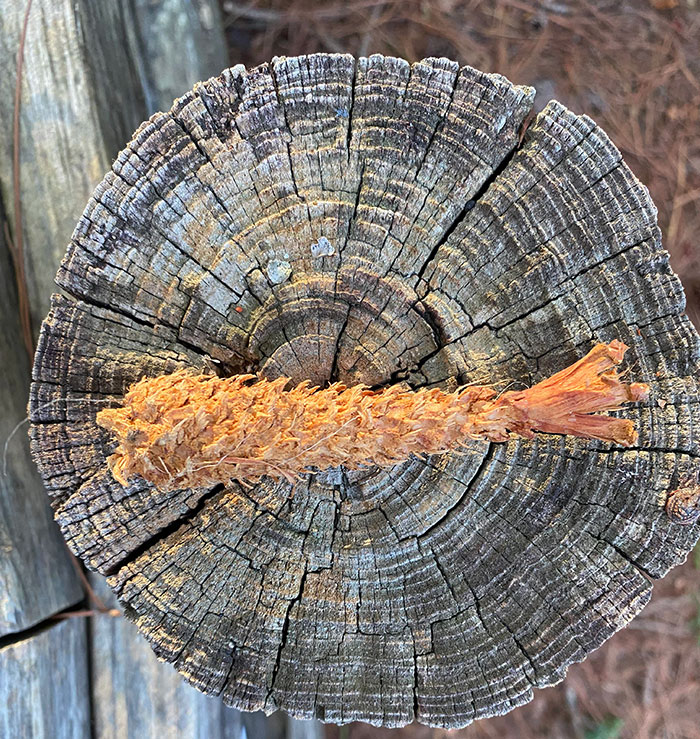 image-20230616110031-6