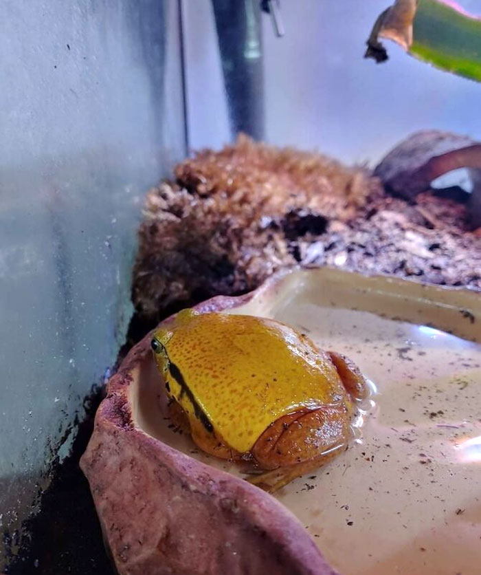 image-20230616110059-13