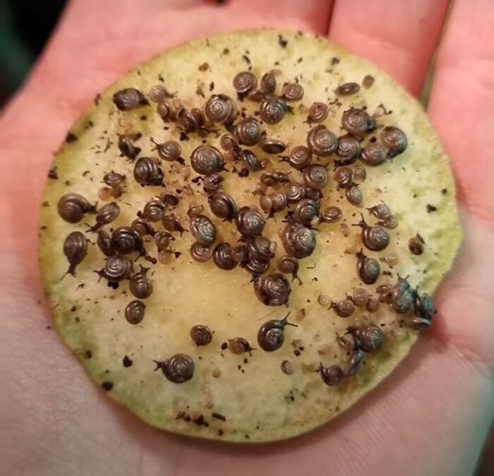 image-20230616110102-14