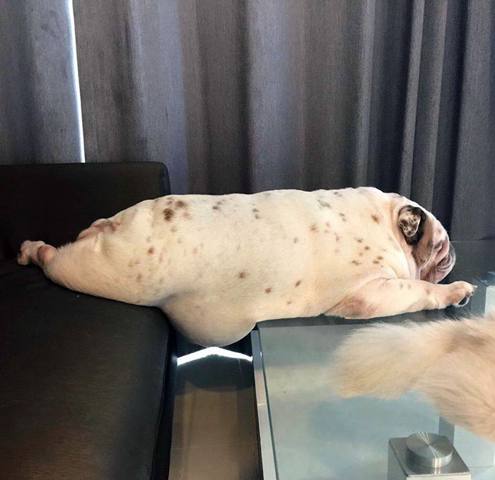 image-20230616110108-16