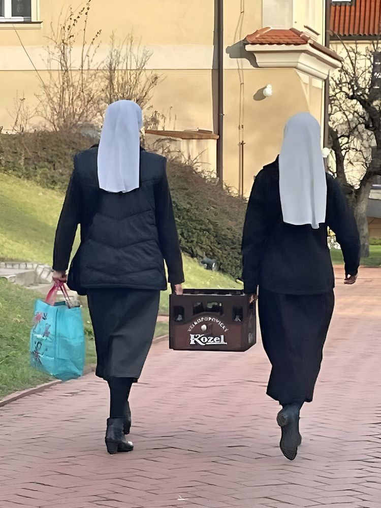 image-20230616134830-6