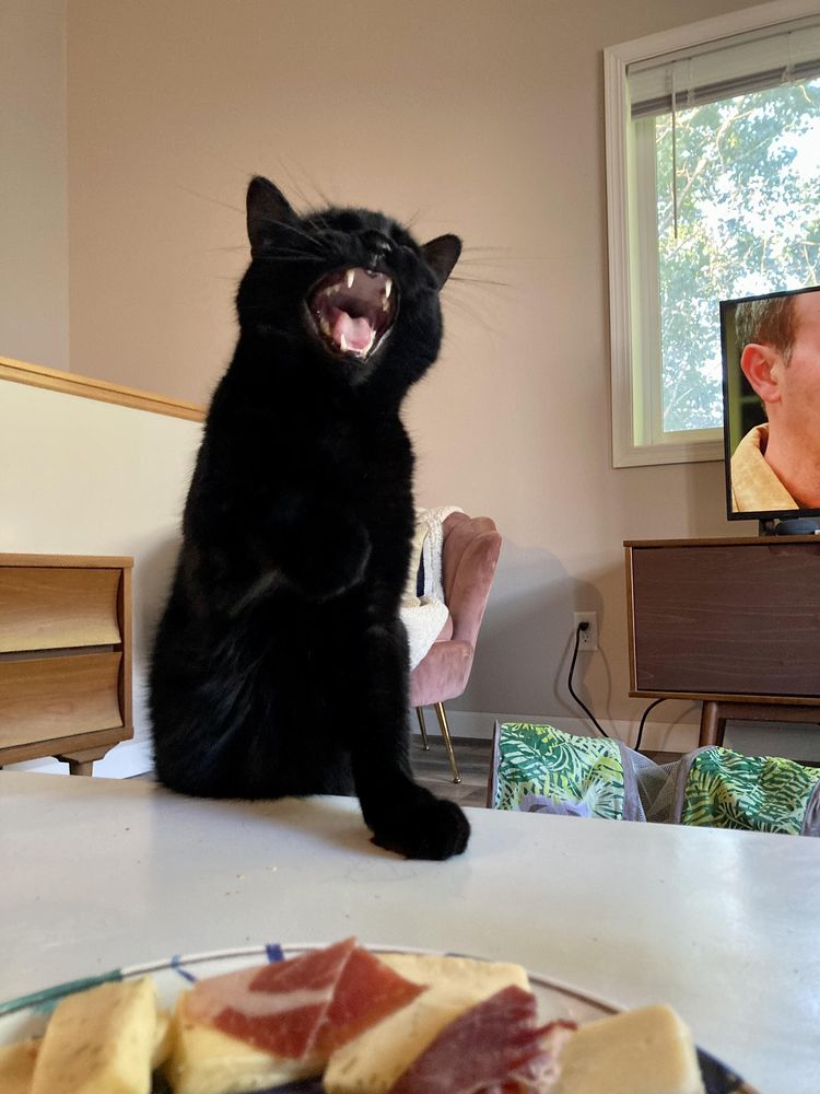 image-20230619171557-1