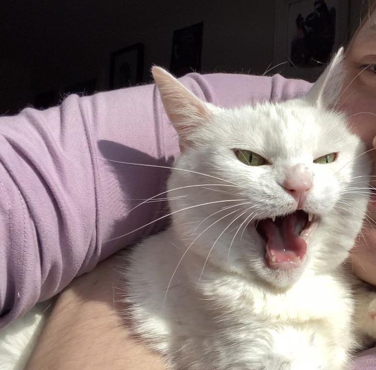 image-20230619171600-2