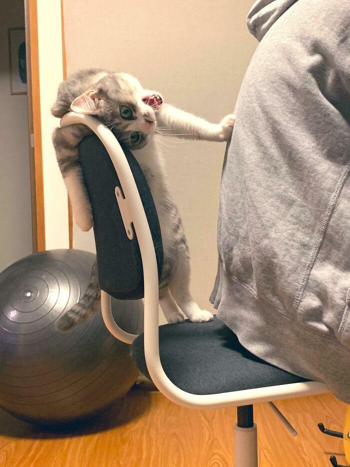 image-20230619171622-9