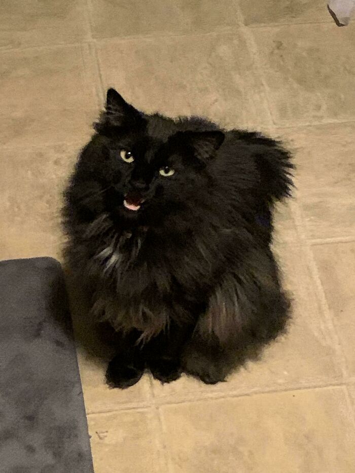 image-20230619171625-10