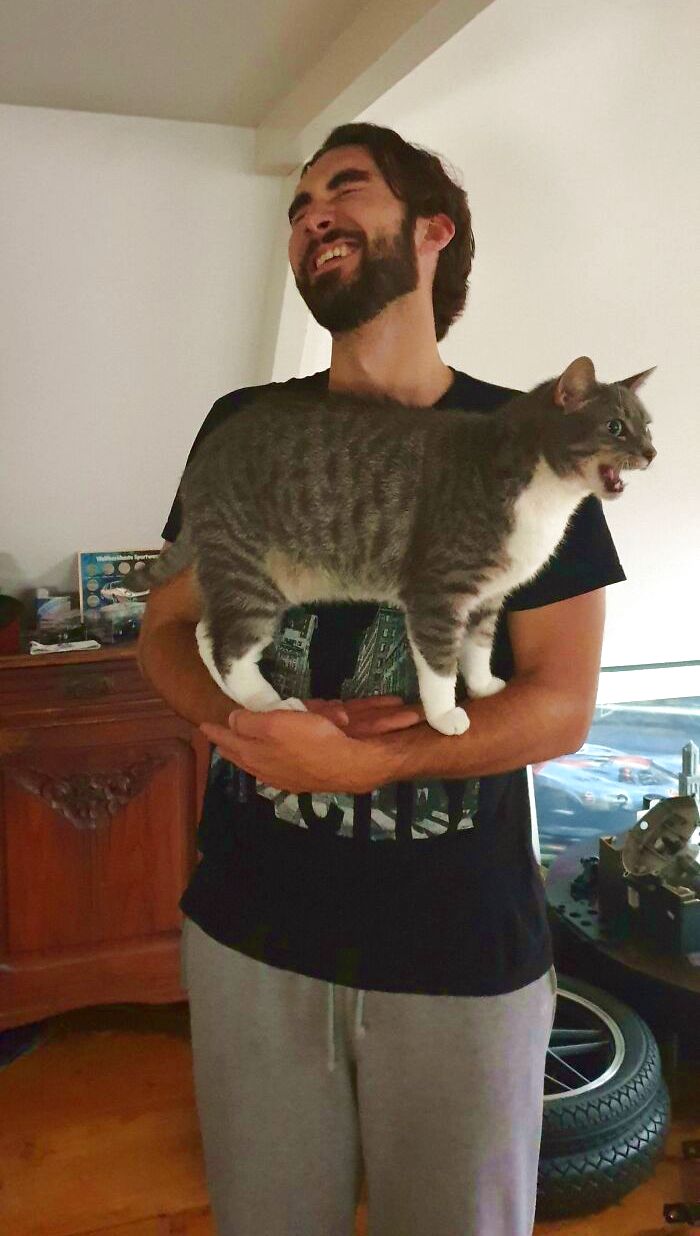 image-20230619171631-12