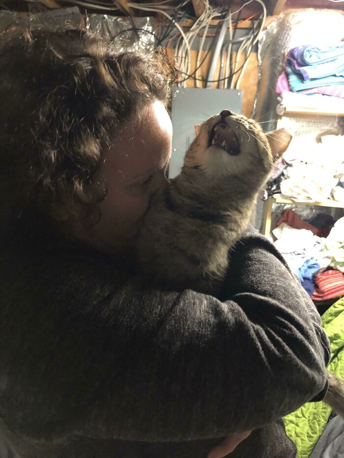 image-20230619171636-13