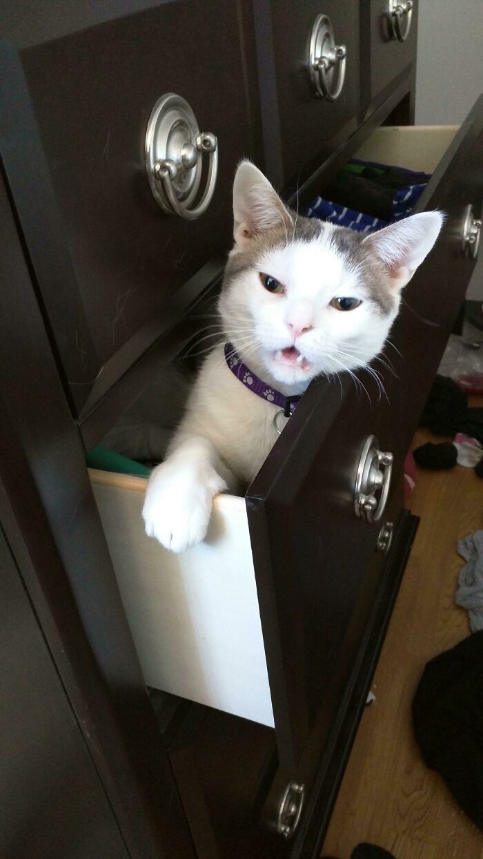 image-20230619171639-14