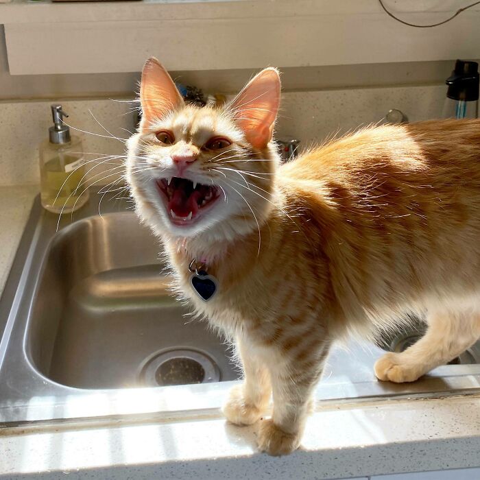 image-20230619171641-15