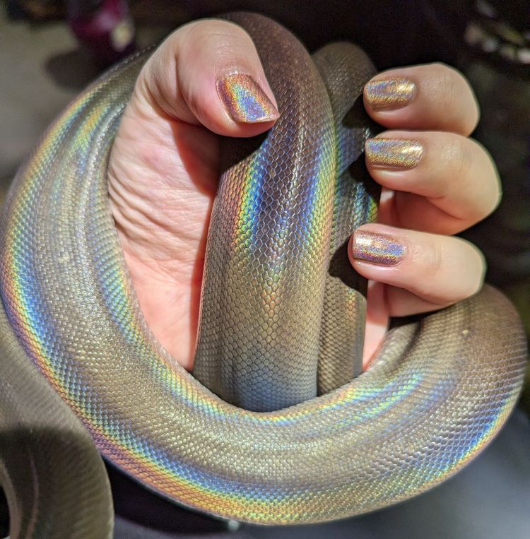 image-20230620175754-13