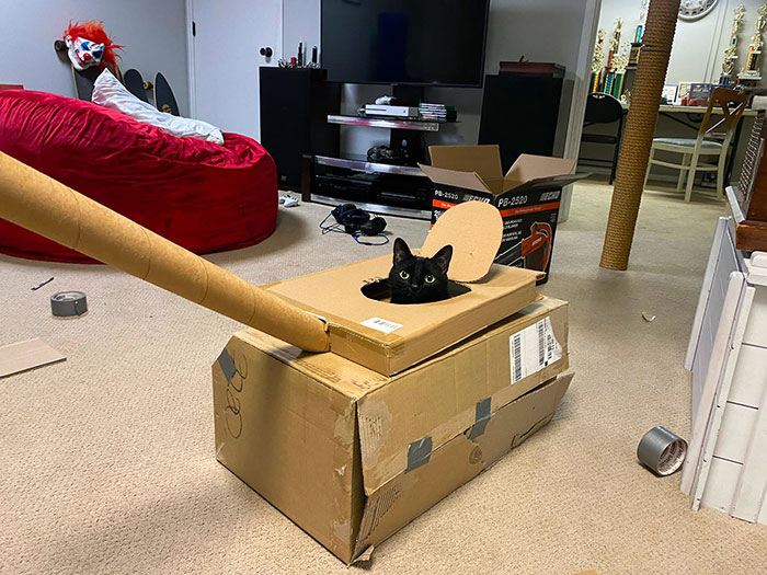 image-20230620185315-7