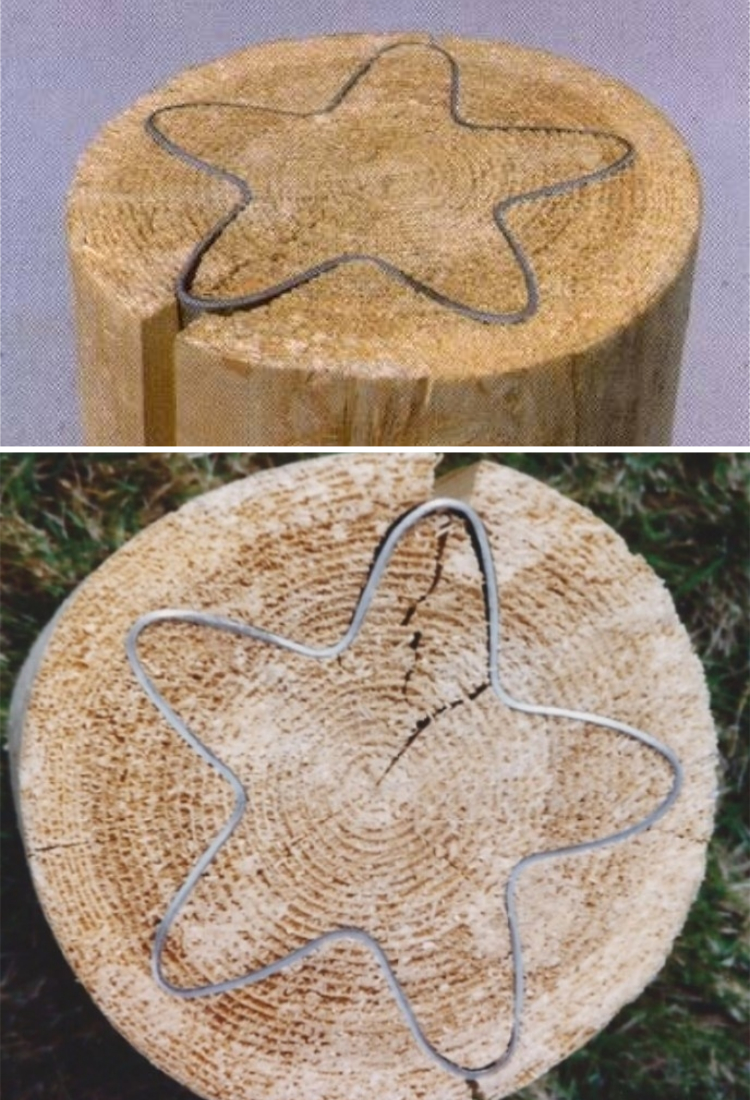 image-20230620185358-22