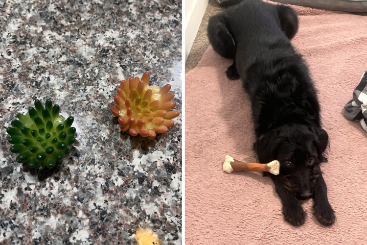 image-20230620185409-24