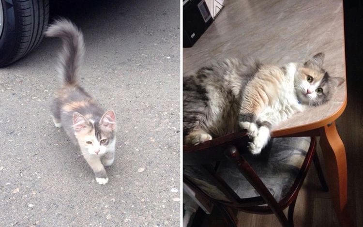 image-20230621170421-2