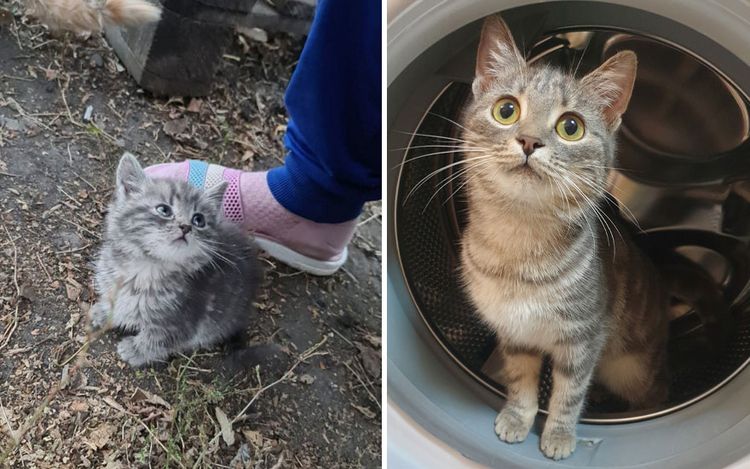 image-20230621170503-11