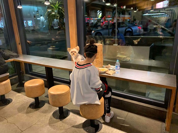 image-20230622181156-7