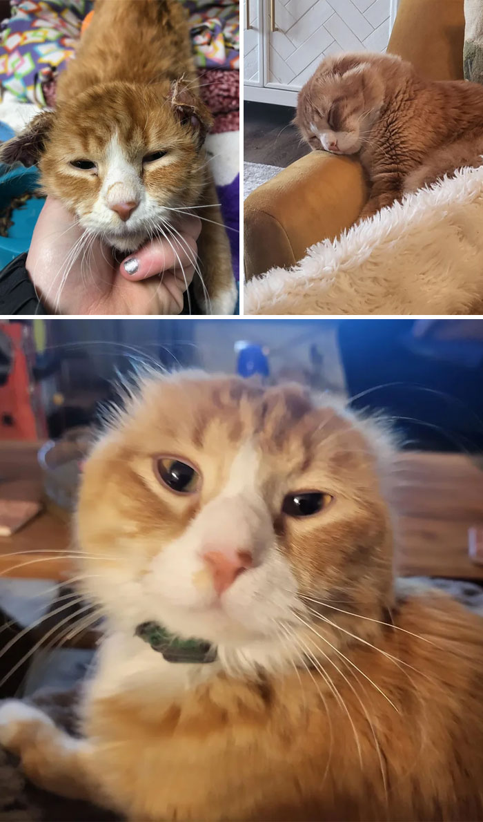 image-20230623113541-2