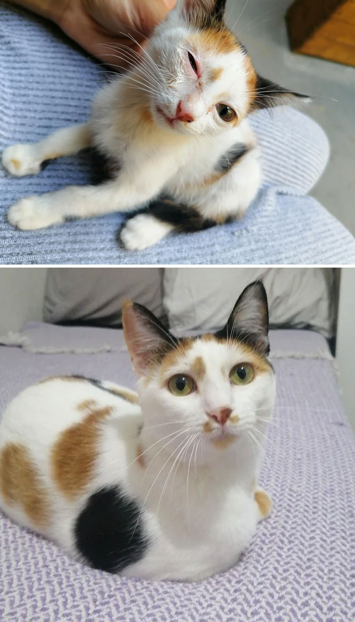 image-20230623113544-3