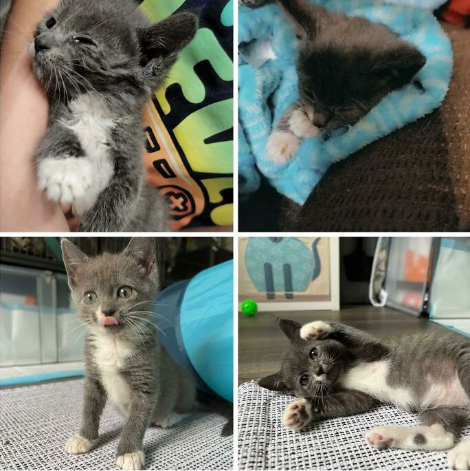 image-20230623113612-4