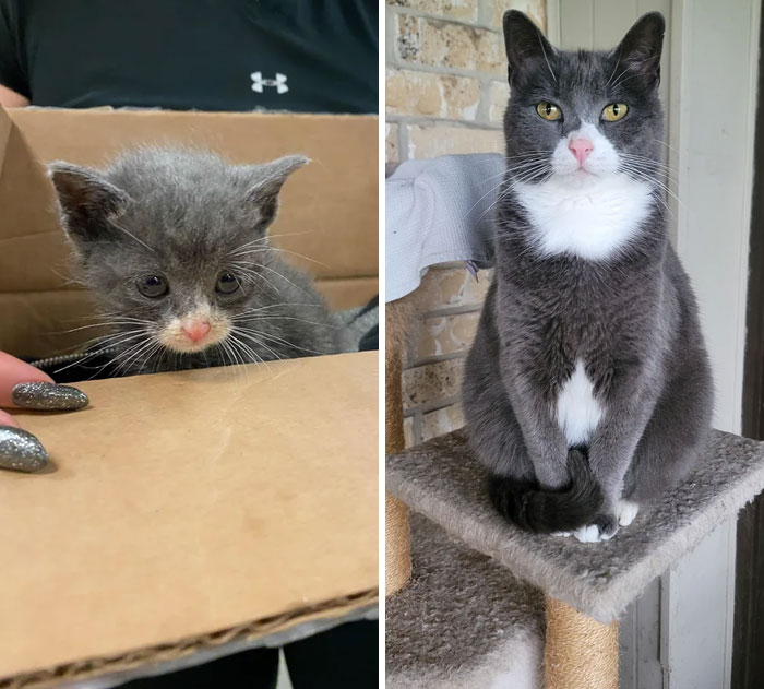 image-20230623113622-6