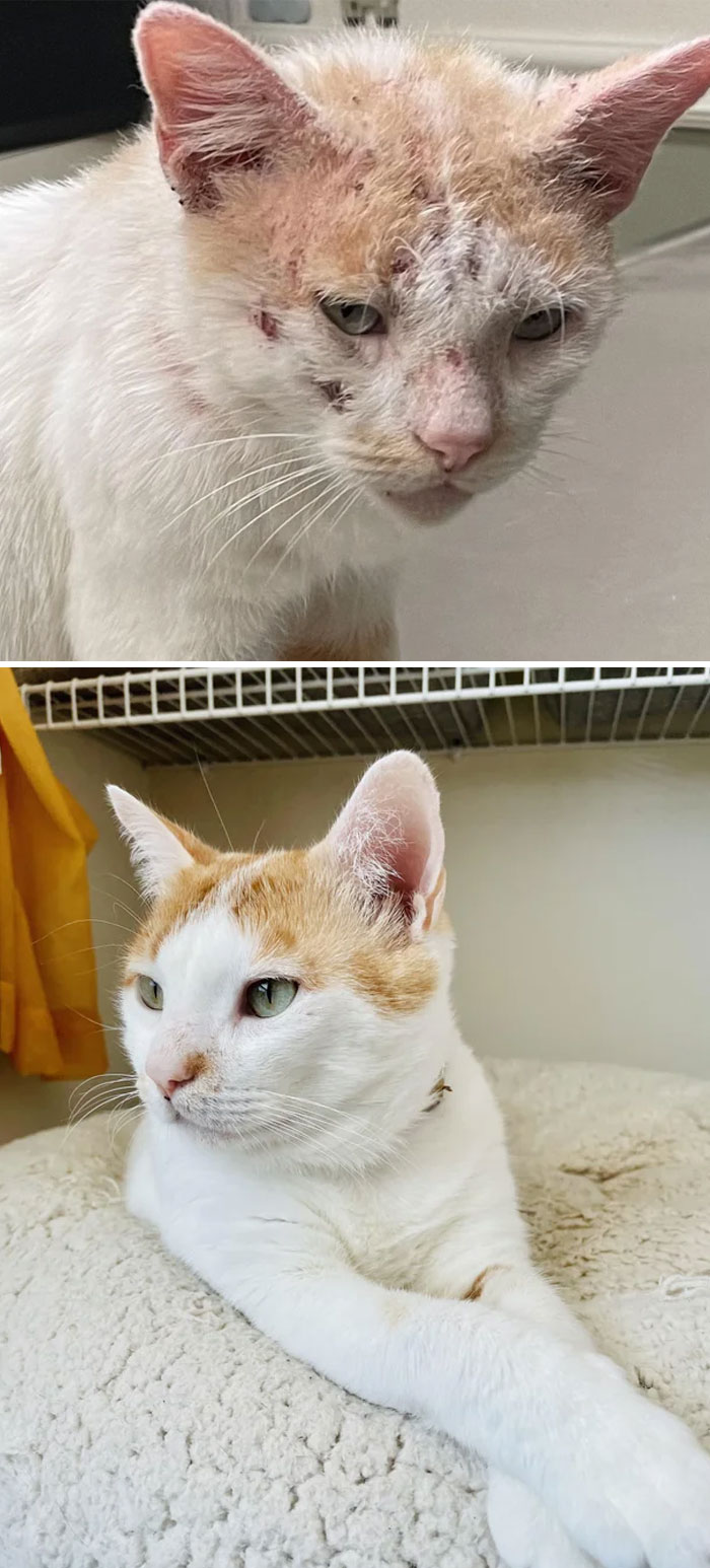 image-20230623113630-8