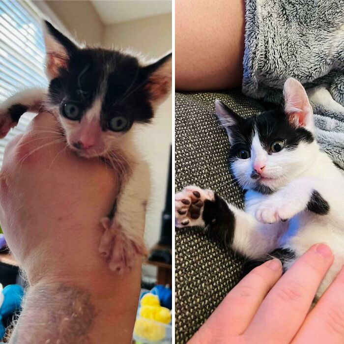 image-20230623113641-11