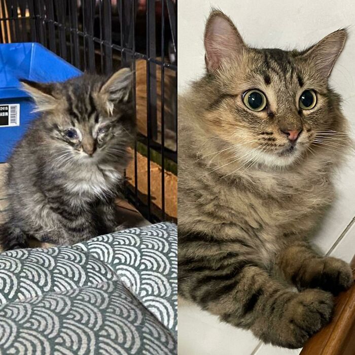 image-20230623113645-12