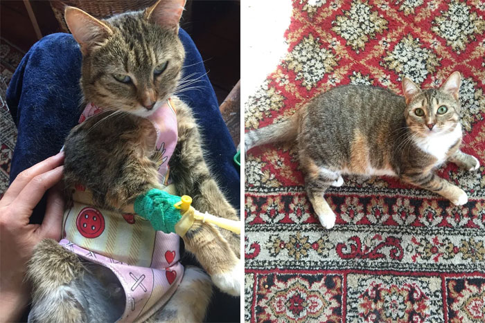 image-20230623113659-16