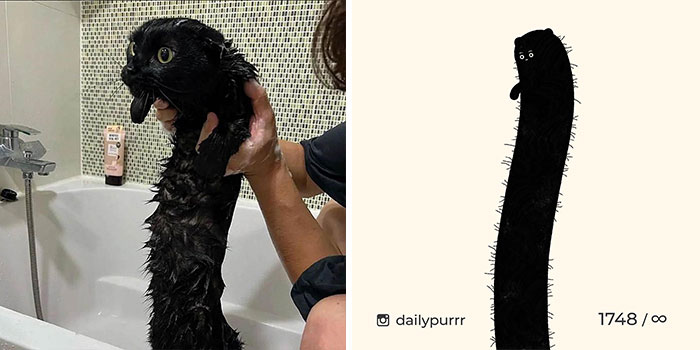 image-20230626115215-1