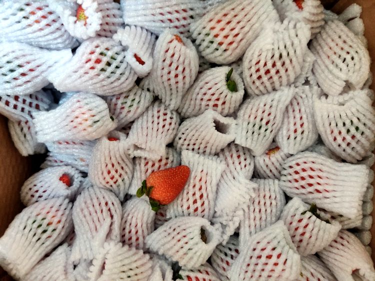 image-20230626154356-14