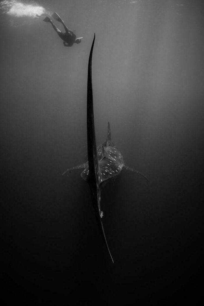 image-20230627125443-6