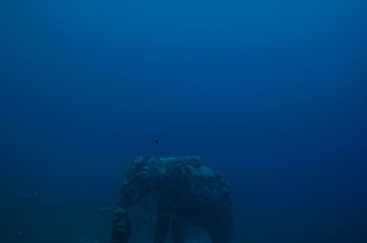 image-20230627125502-11