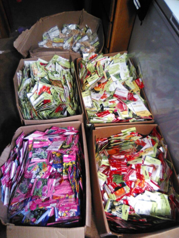 image-20230627143311-13