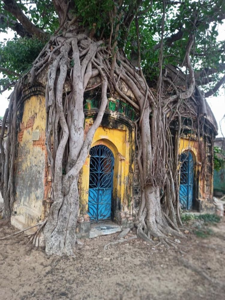 image-20230629131444-14