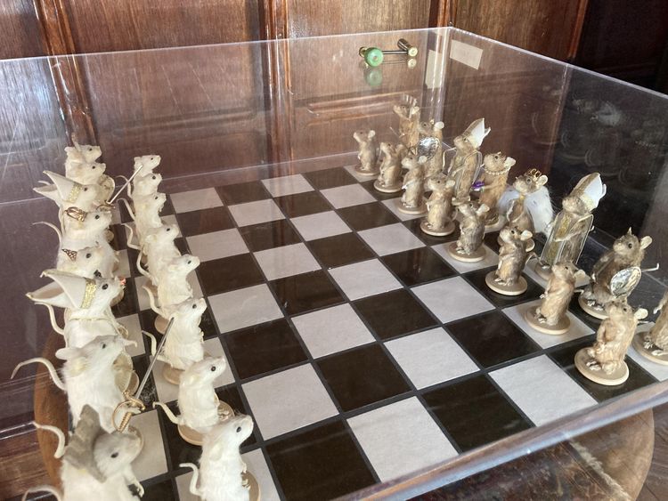 image-20230630124301-11