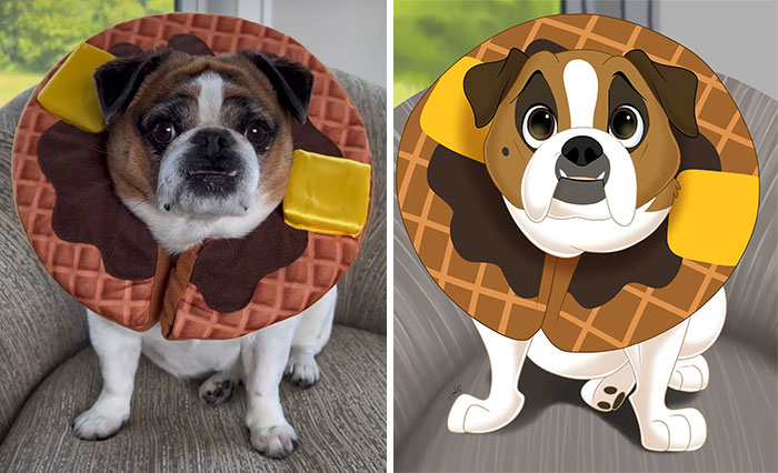 image-20230703131155-1