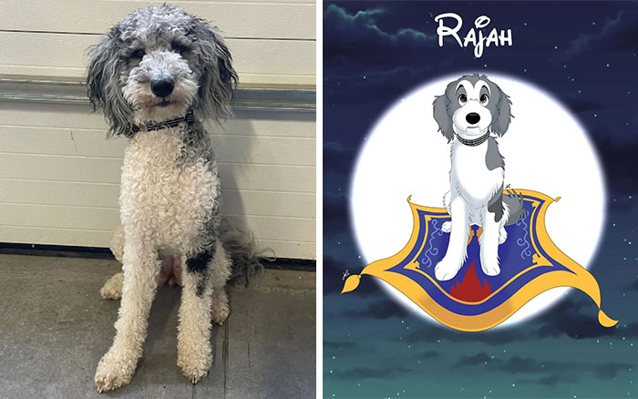 image-20230703131210-4