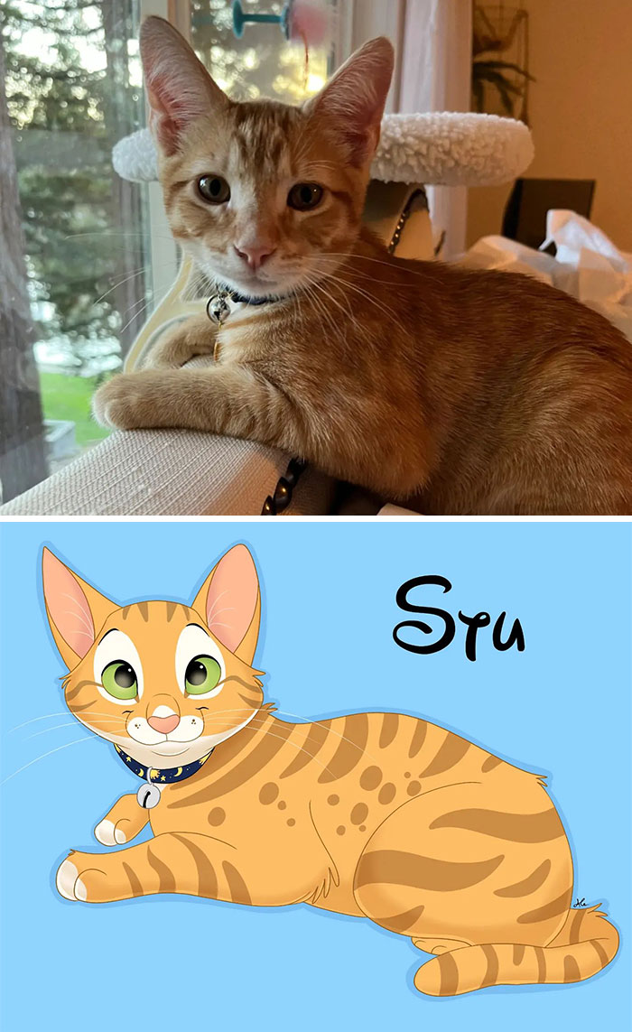 image-20230703131223-7