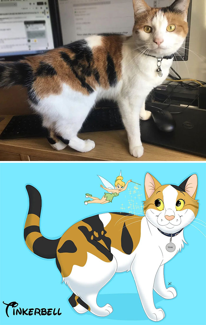 image-20230703131231-9