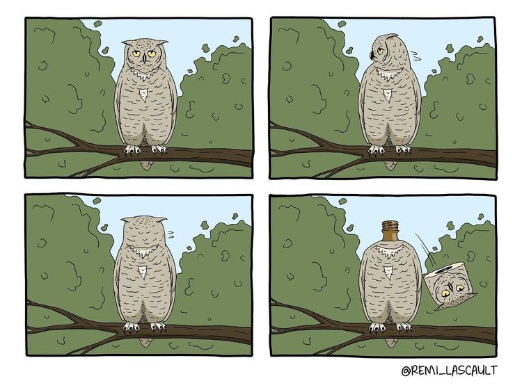 image-20230704122448-16