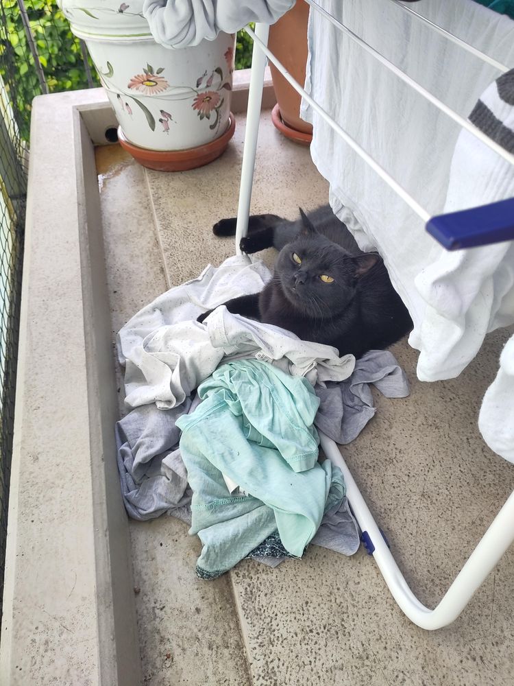 image-20230704180614-2