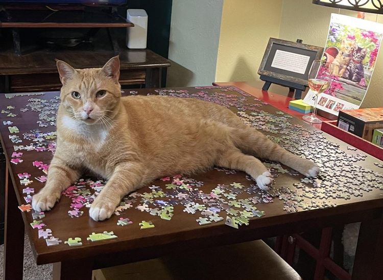 image-20230704180617-3