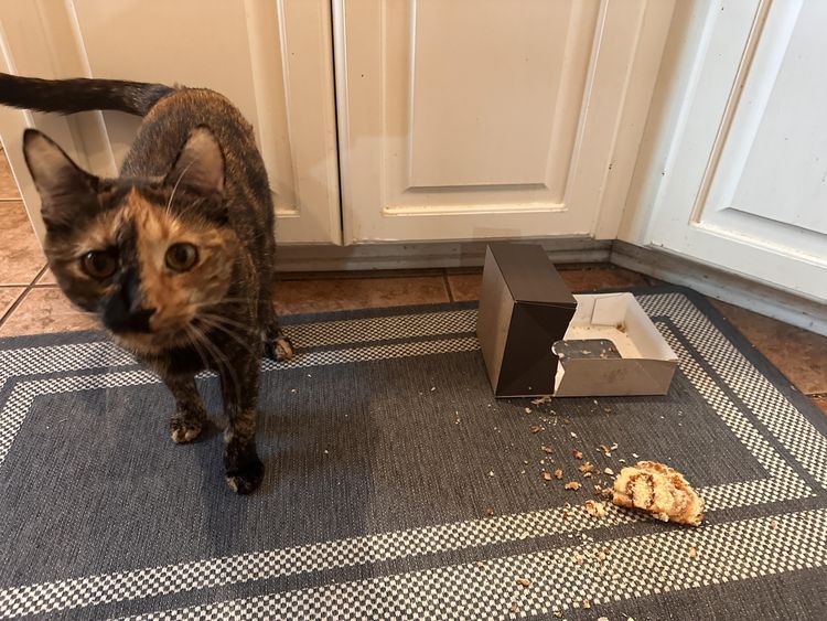 image-20230704180620-4