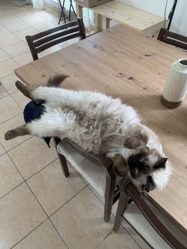 image-20230704180625-5