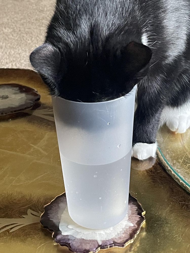 image-20230704180631-7