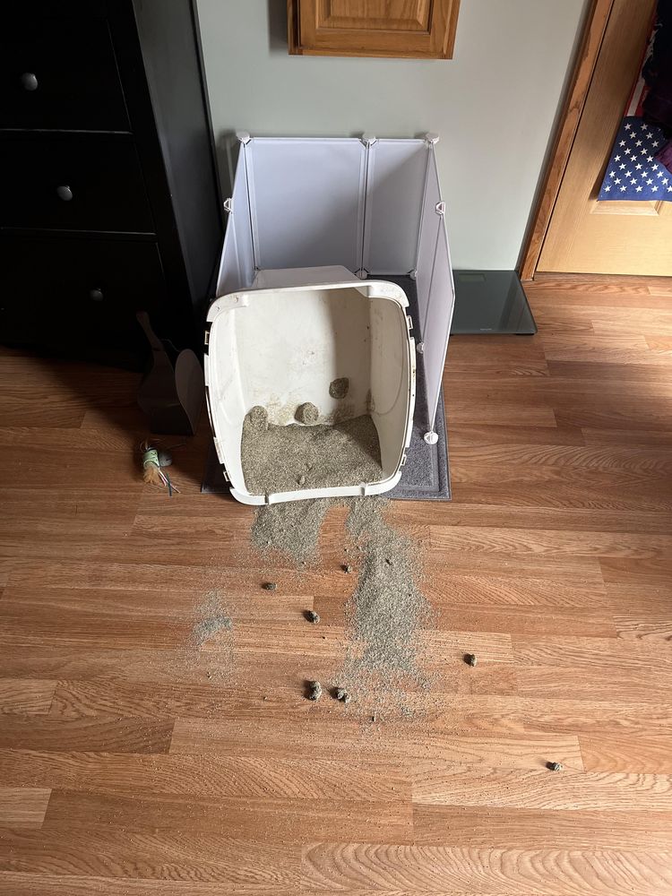 image-20230704180634-8